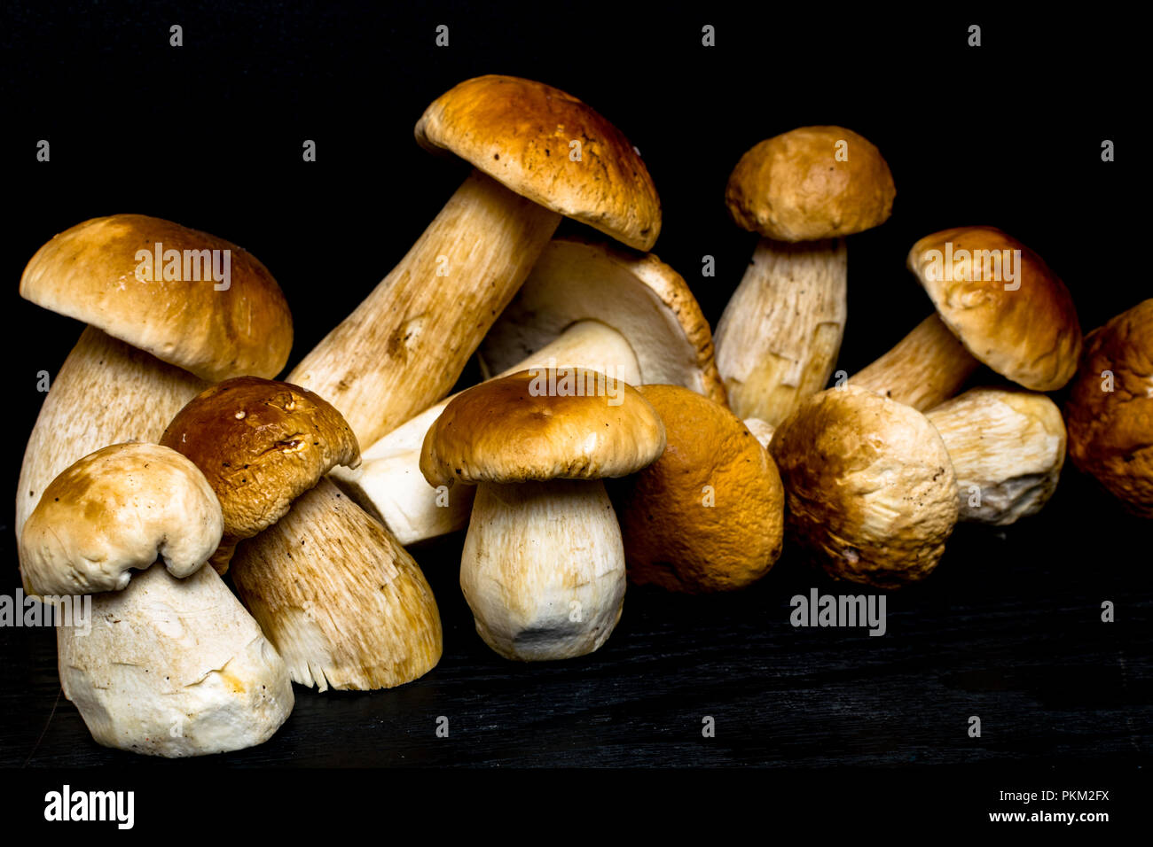 Otono De Setas El Ceps Boletus Edulis Sobre Fondo Oscuro De Madera Cerca De Madera Rustica Mesa Cocinar Deliciosos Champinones Organicos La Comida Gourmet Fotografia De Stock Alamy