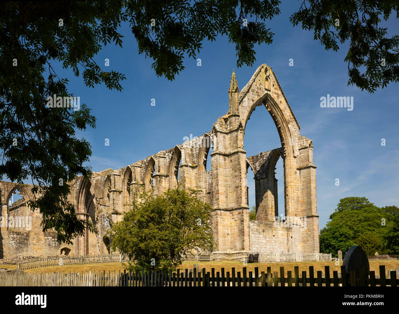 Reino Unido, Yorkshire, Wharfedale, Bolton Abbey, las ruinas del convento agustino de 1154 Foto de stock