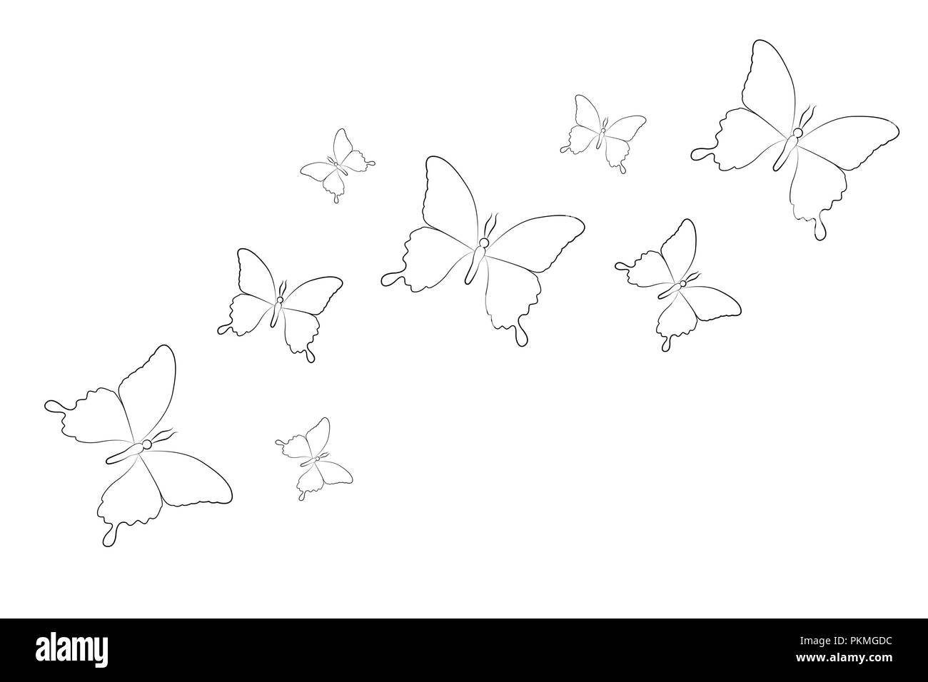 Juego de dibujo de líneas aisladas de mariposas sobre un fondo blanco ilustración vectorial EPS10 Ilustración del Vector