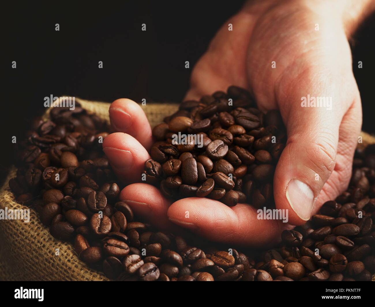 Persona con la mano llena de granos de café. Foto de stock