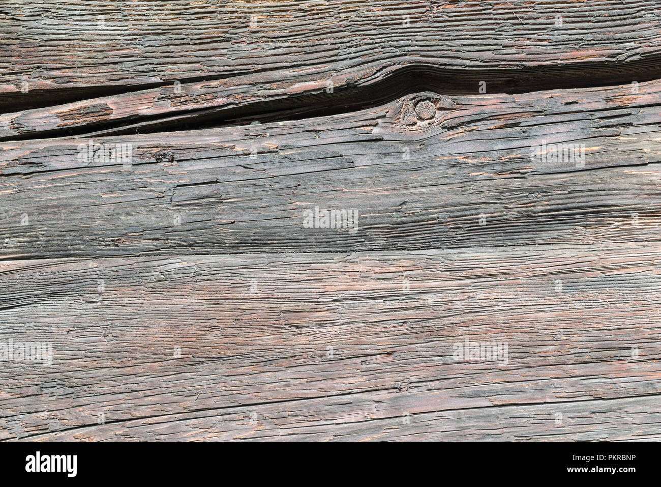 Textura de madera de alerce. Resumen antecedentes con patrones naturales Foto de stock