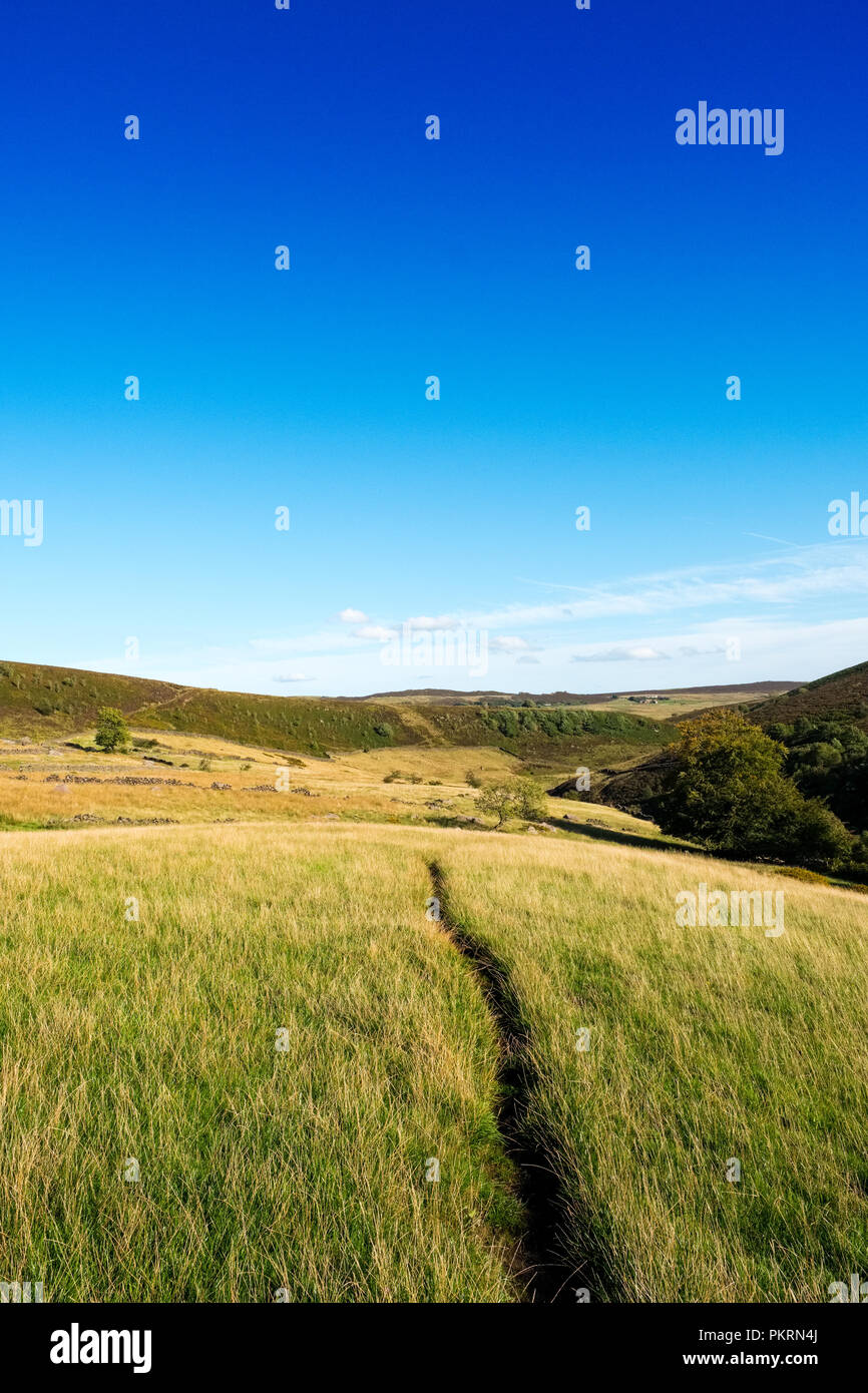 Ruta en campo de hierba cerca de páramos, Staffordshire Gradbach,Peak District National Park Foto de stock