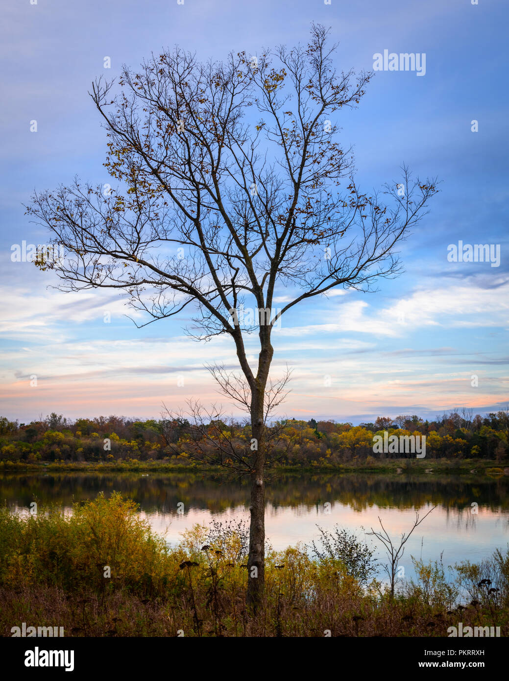 Atardecer con un solitario árbol cerca de un río con rocas y reflexiones y tenues nubes y colores de otoño Foto de stock