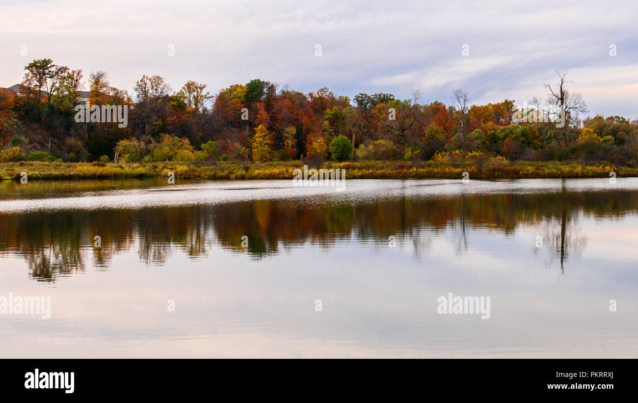 Bosque con colores de otoño junto a un río con reflexiones y tenues nubes Foto de stock