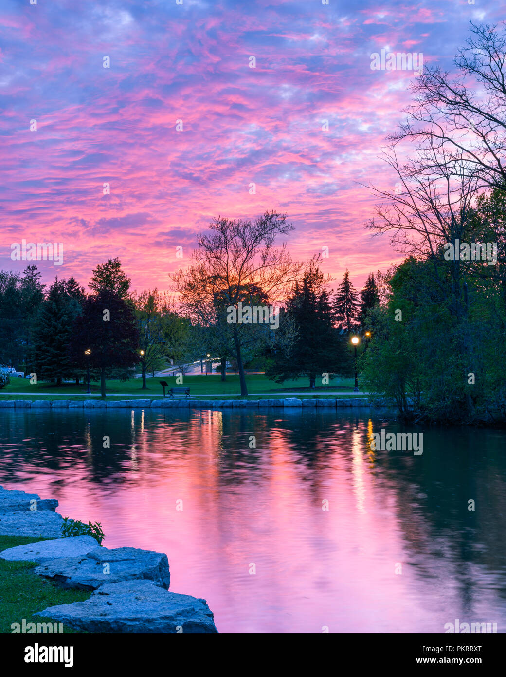 Atardecer en un parque cerca de un río, con árboles en el fondo y un cielo que parece Cotton Candy Foto de stock