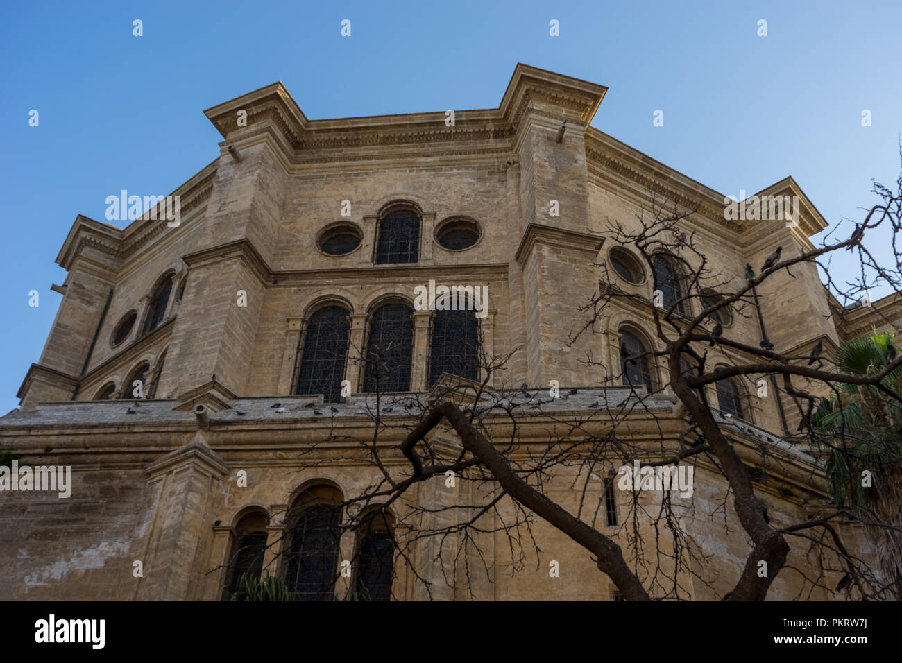 Catedral de la Encarnación en Málaga, España, Europa en golden sunset hora Foto de stock