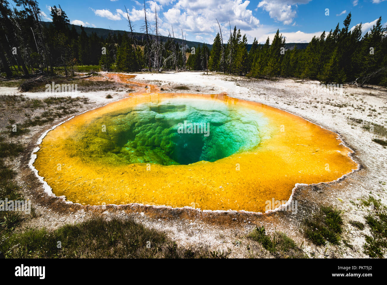 Morning Glory Hot Spring - Parque Nacional de Yellowstone. Foto de stock