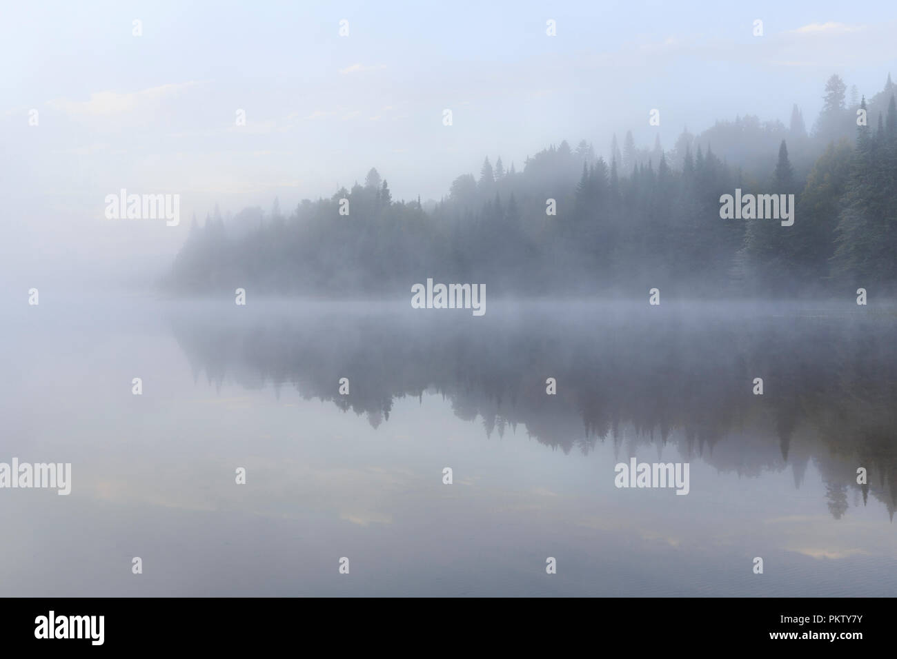 Niebla de la mañana, Lac Lajoie, Parque Nacional de Mont Tremblant, Quebec, Canadá Foto de stock