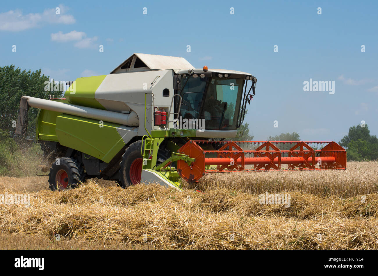 Máquina cosechadora para cosechar trigo de trabajo en el campo. Foto de stock