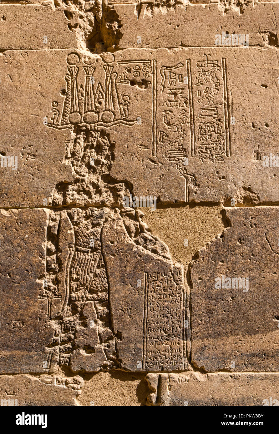 Detalle de dañado jeroglífico figura tallada, exterior pilono, Templo de Filae, el río Nilo, en Asuán, Egipto, África Foto de stock