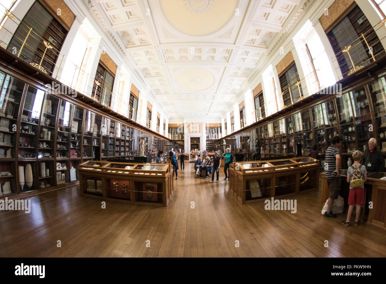 El King George's en la biblioteca, en el Museo Británico Foto de stock