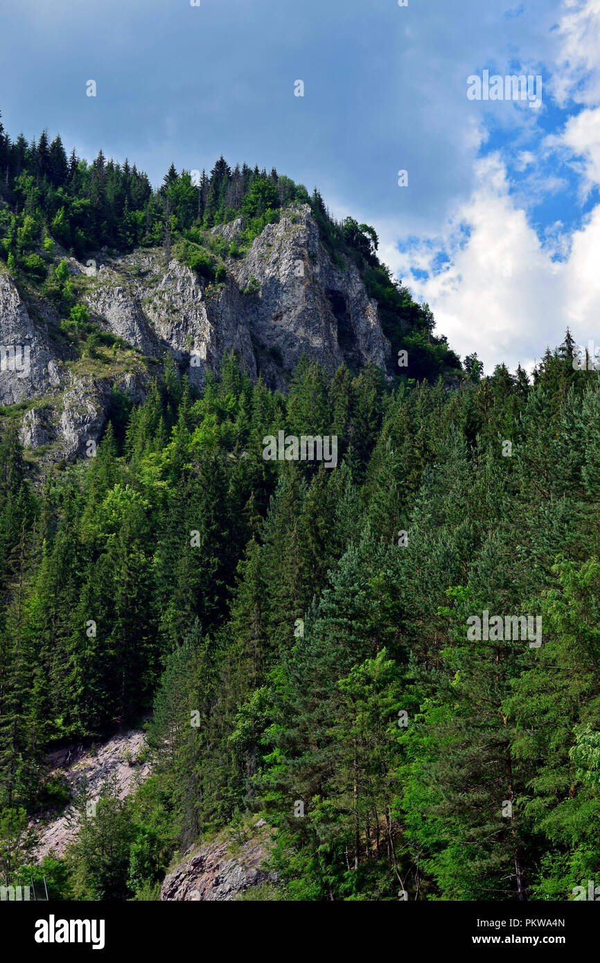 Vista panorámica de una abrupta ladera rocosa cubiertos de abetos al Arieș valle en la cordillera Apuseni, Transilvania Foto de stock