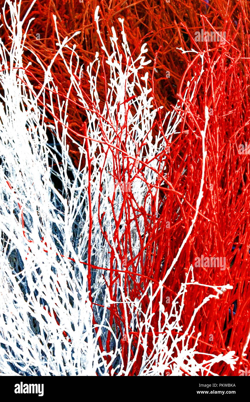 Ramas de color rojo y blanco natural de fondo abstracto Foto de stock