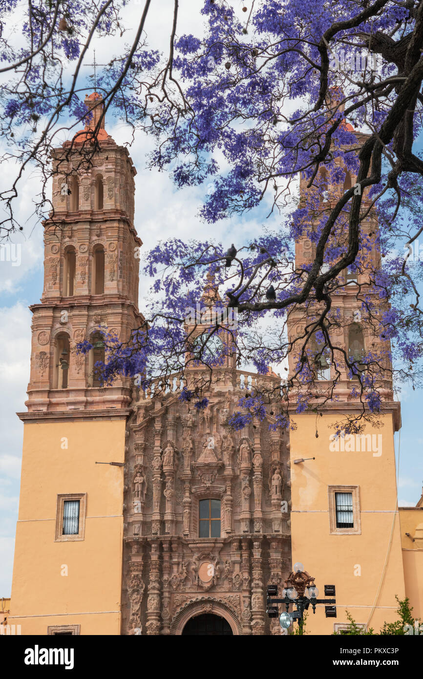 Parroquia Nuestra Señora de los dolores de la Iglesia Católica, en inglés, la Iglesia de Nuestra Señora de los dolores en la Plaza Principal con el florecimiento Jacaranda árbol en Dolores Hidalgo, Parroquia Nuestra Señora de los dolores de la Iglesia Católica, en inglés, la Iglesia de Nuestra Señora de los dolores en la Plaza Principal con el florecimiento Jacaranda árbol en Dolores Hidalgo,