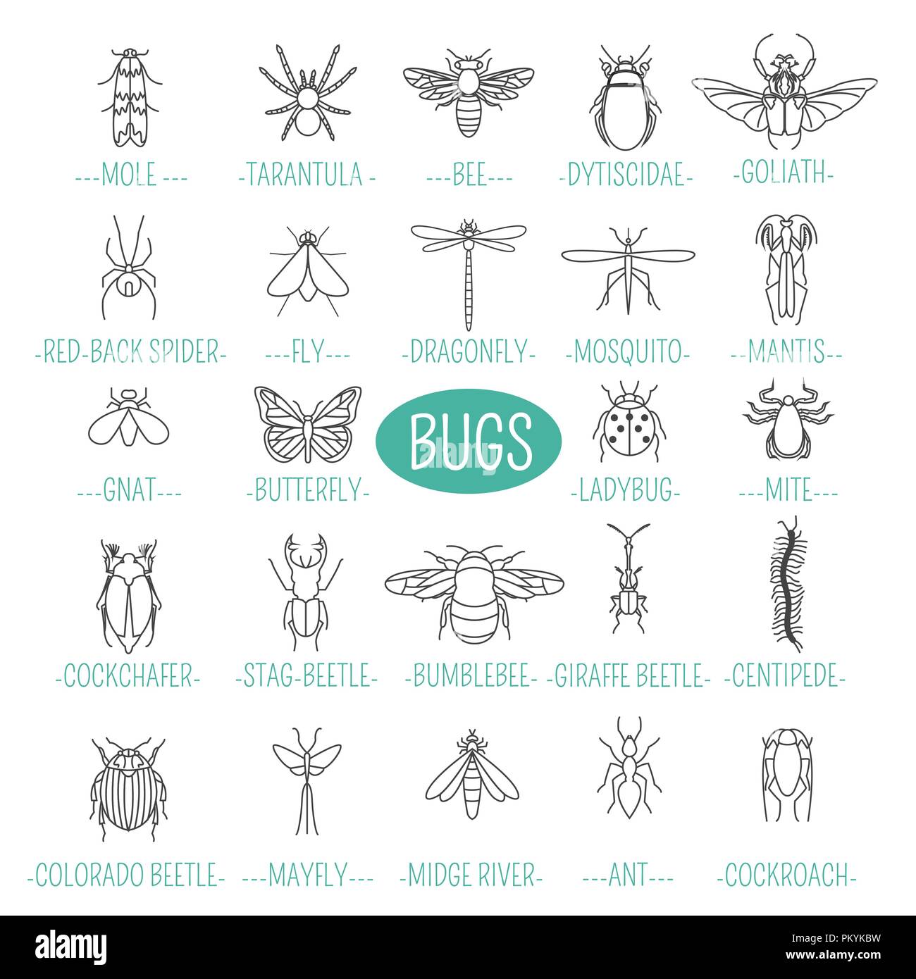 Icono de insectos tipo plano. 24 piezas en conjunto. Versión de esquema. Ilustración vectorial Ilustración del Vector