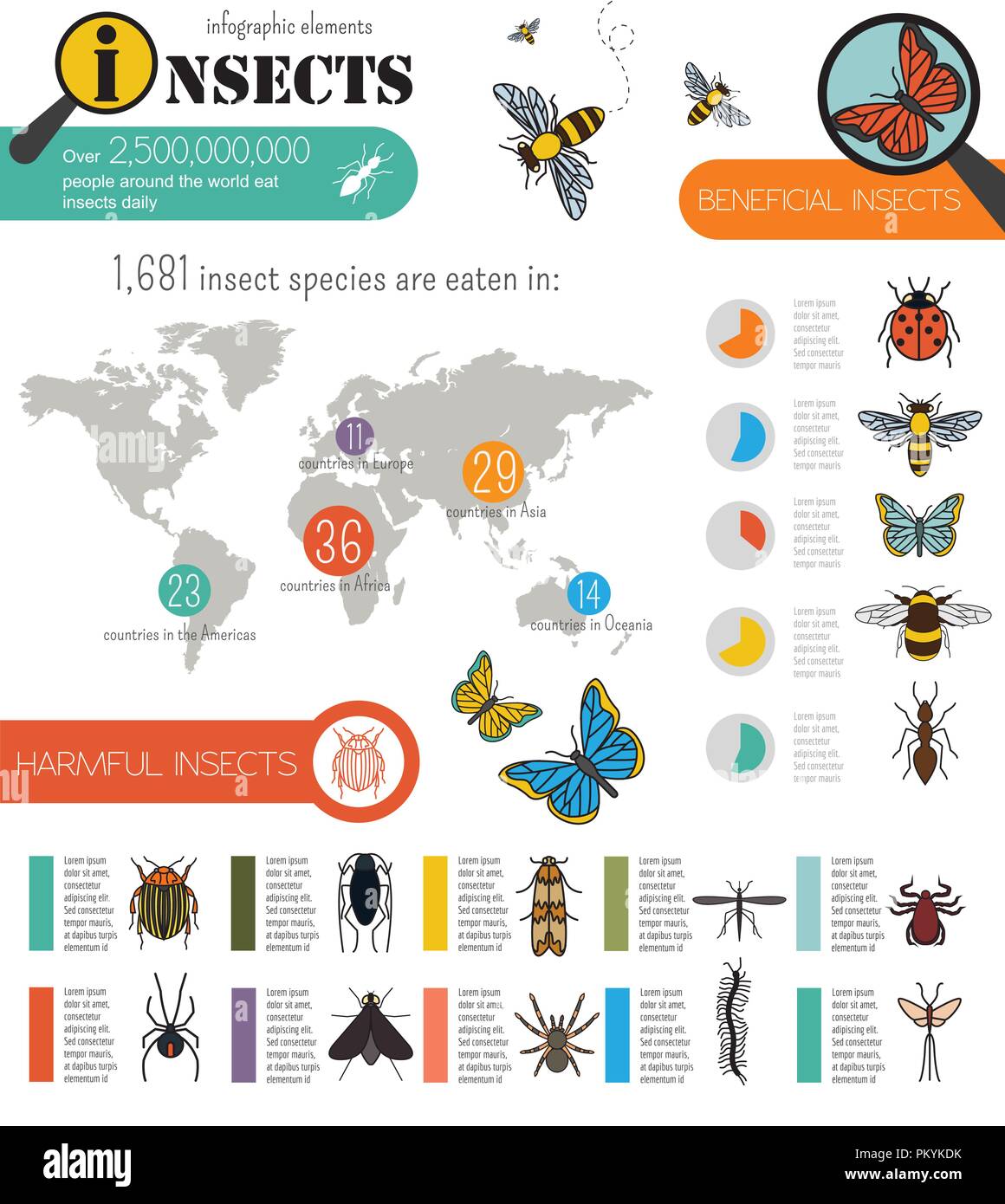 Insectos infográfico plantilla. Ilustración vectorial Ilustración del Vector