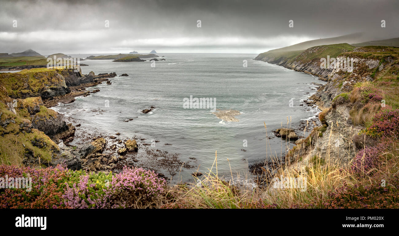 Bahía Foilhommerum, Valentia Island, Anillo de Kerry, República de Irlanda, Europa. Foto de stock