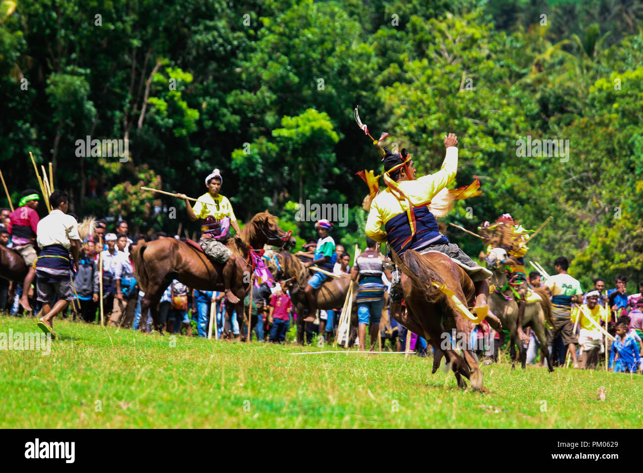 Pasola ceremonias tradicionales de Indonesia, en la que participan jóvenes caballeros a caballo Foto de stock
