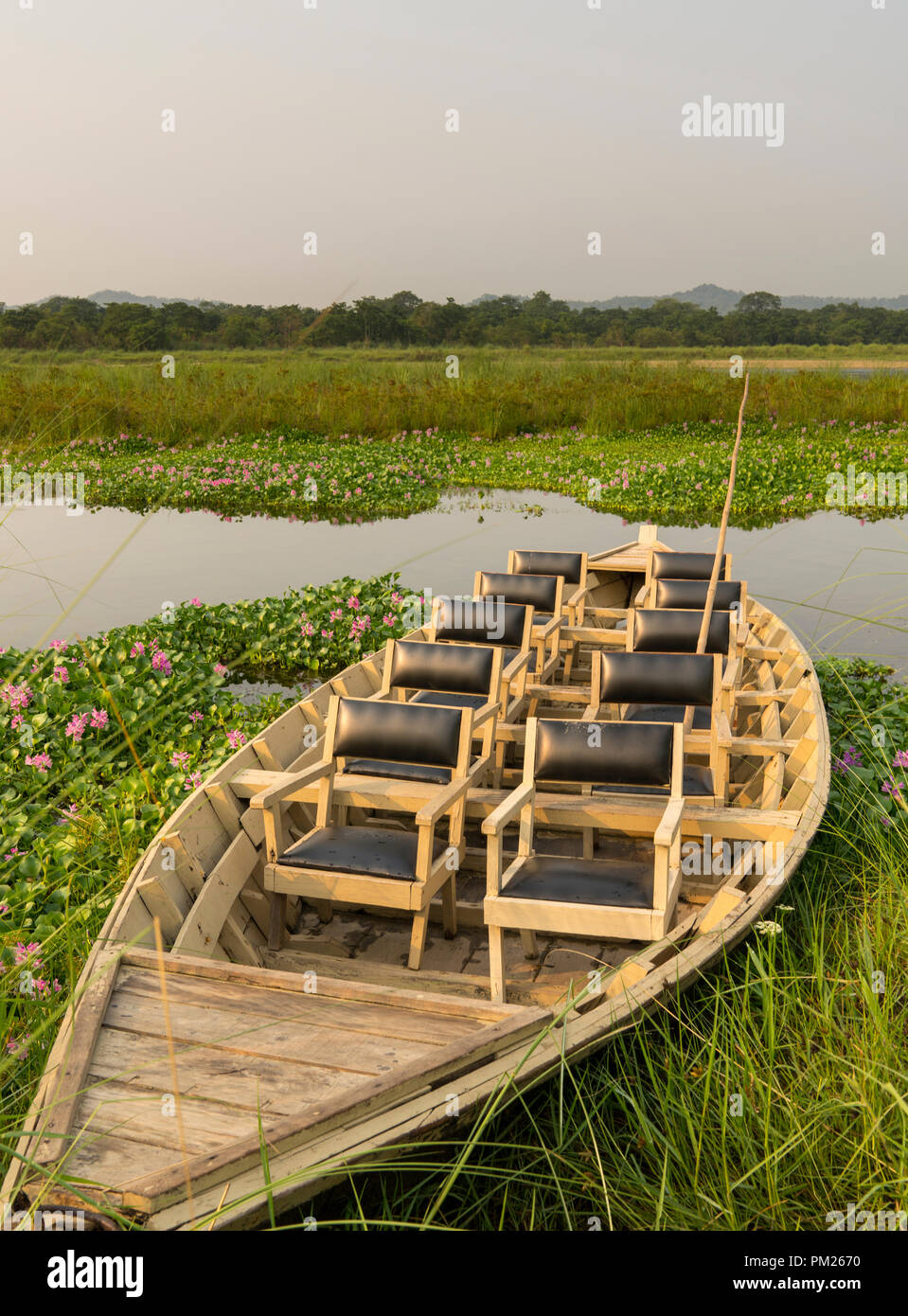 Barco turístico con sillas en la selva del río. Selva y río safari para turistas en Asia Foto de stock