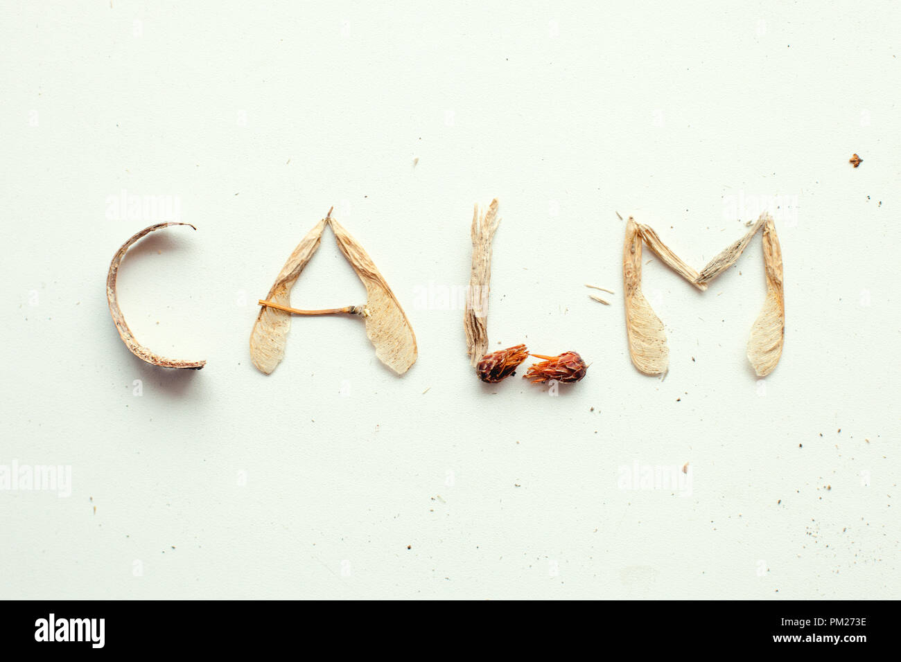 Mindfulness calmness desenchufar el concepto, la palabra calma desde el bosque natural material Foto de stock