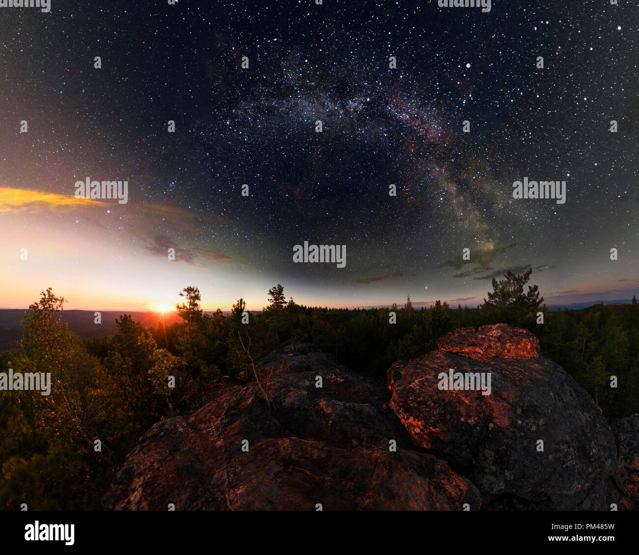 Amanecer en el bosque bajo el cielo estrellado de una vía láctea. Panorama. Foto de stock