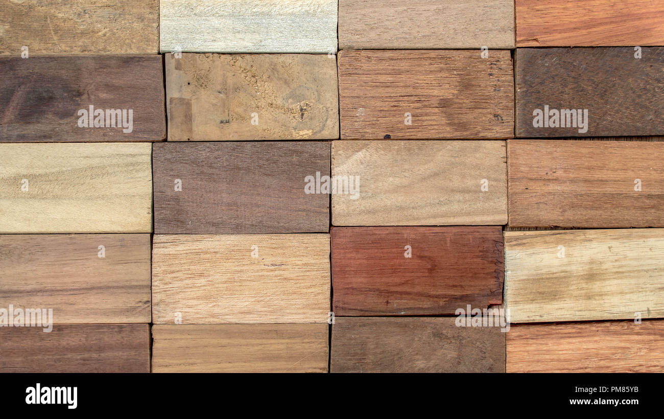 Espécimen de madera de diferentes maderas tropicales que crecen en  Indonesia. perfecta de parquet de madera de textura de fondo natural  Fotografía de stock - Alamy