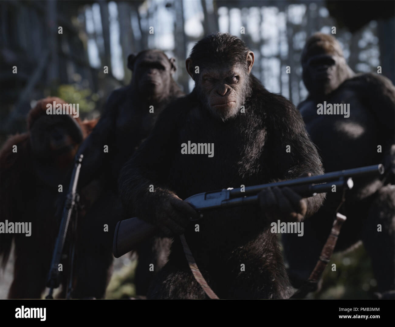 Siglo XX de Fox de "guerra por el planeta de los simios" (2017) Foto de stock