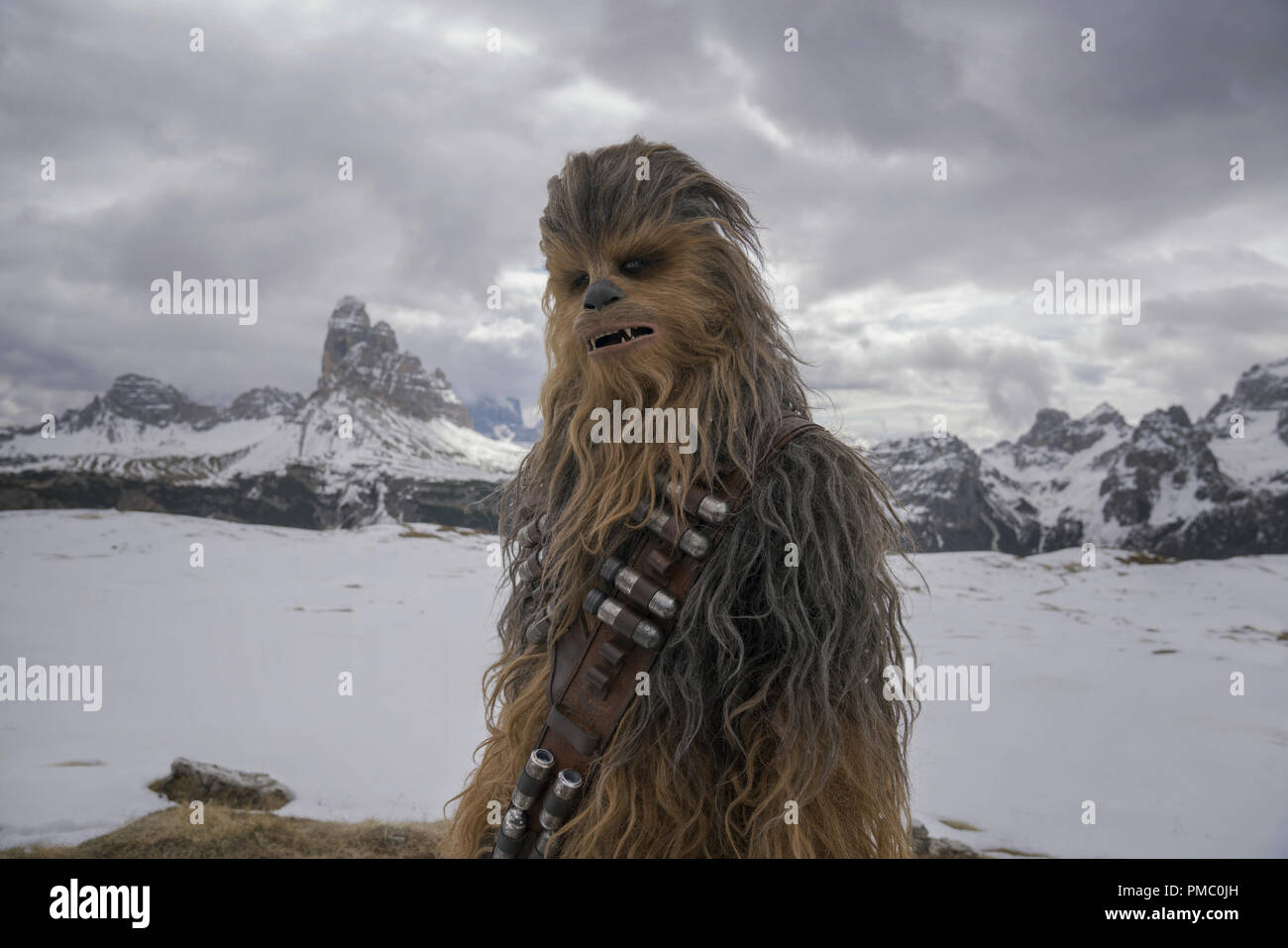 Chewbacca in fotografías e imágenes de alta resolución - Alamy