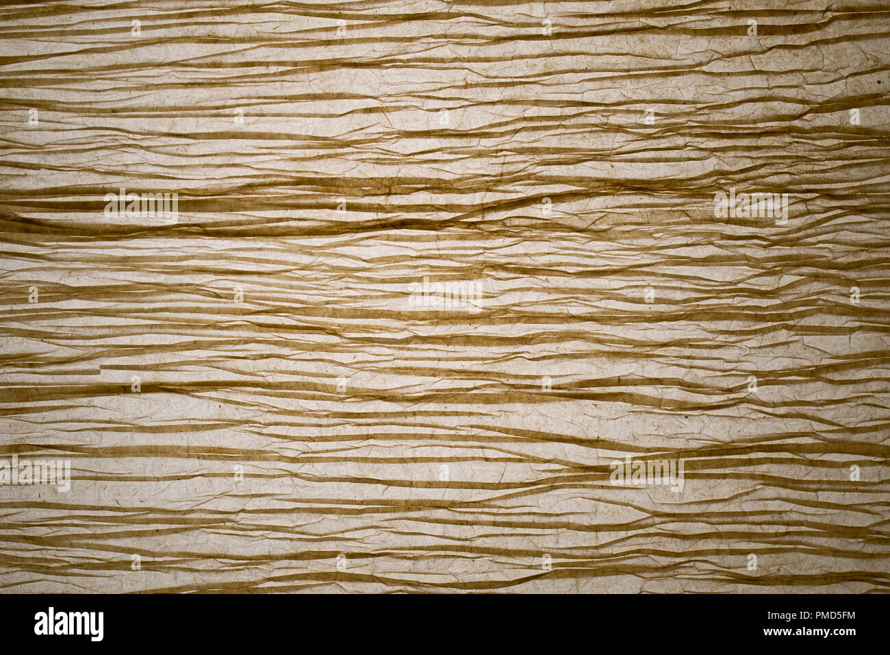 Close-up studio imagen de papel artesanal retroiluminado banana mostrando los detalles y texturas, telón de fondo Foto de stock