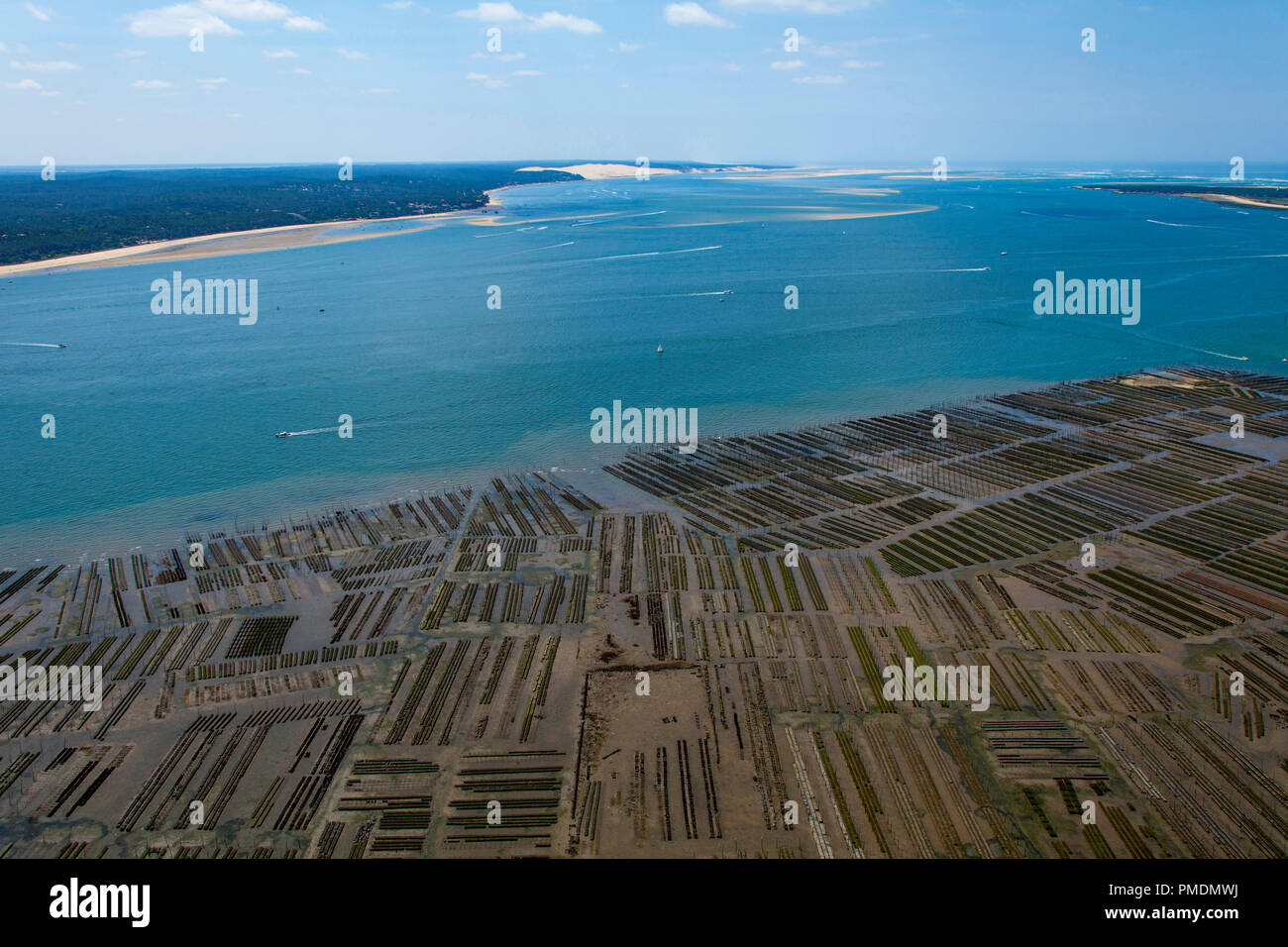 Arcachon Bay (suroeste de Francia): vista aérea de criaderos de ostras. Viveros de ostras de la Restinga, cerca del "Ile aux oiseaux" (Isla de pájaro (no disponible) Foto de stock