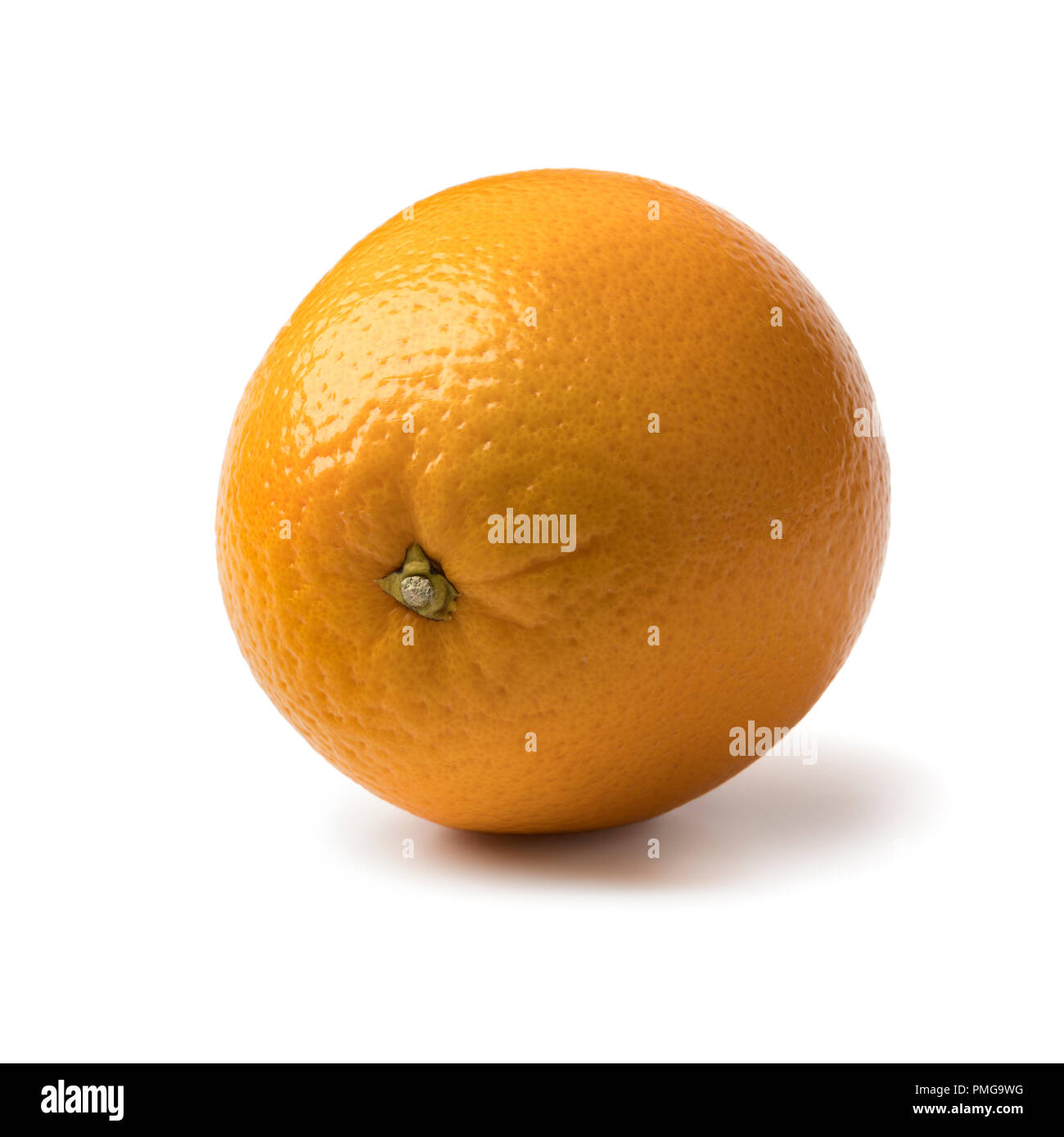 My Image 15