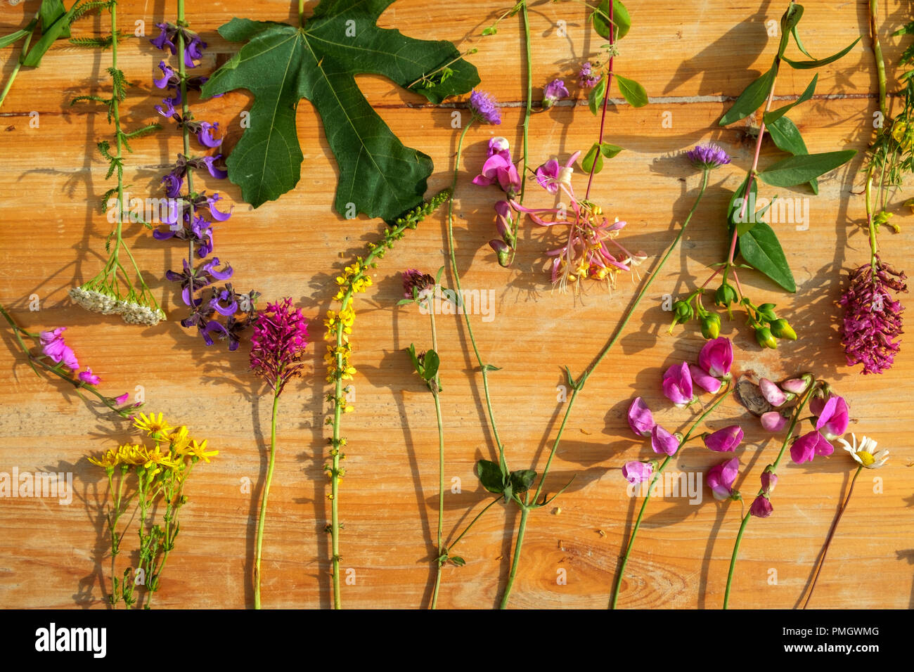 A principios de verano seto y borde de campo de flores silvestres en un régimen laico plana sobre una mesa de madera. Foto de stock