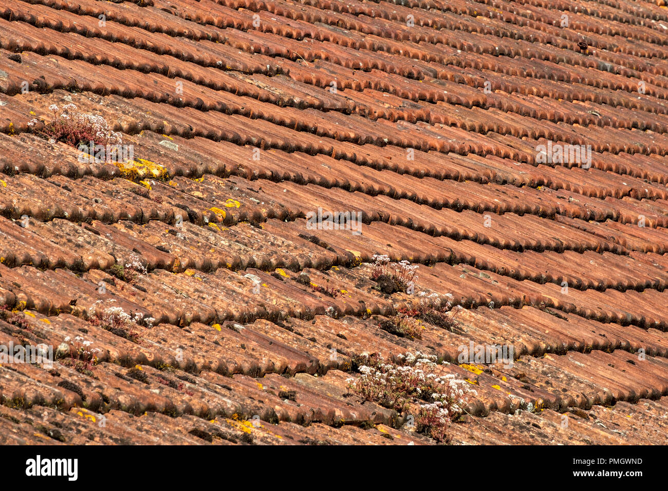 La flacidez rústicos techos de tejas Francesas, construcción de bastidor completo textura de fondo Foto de stock