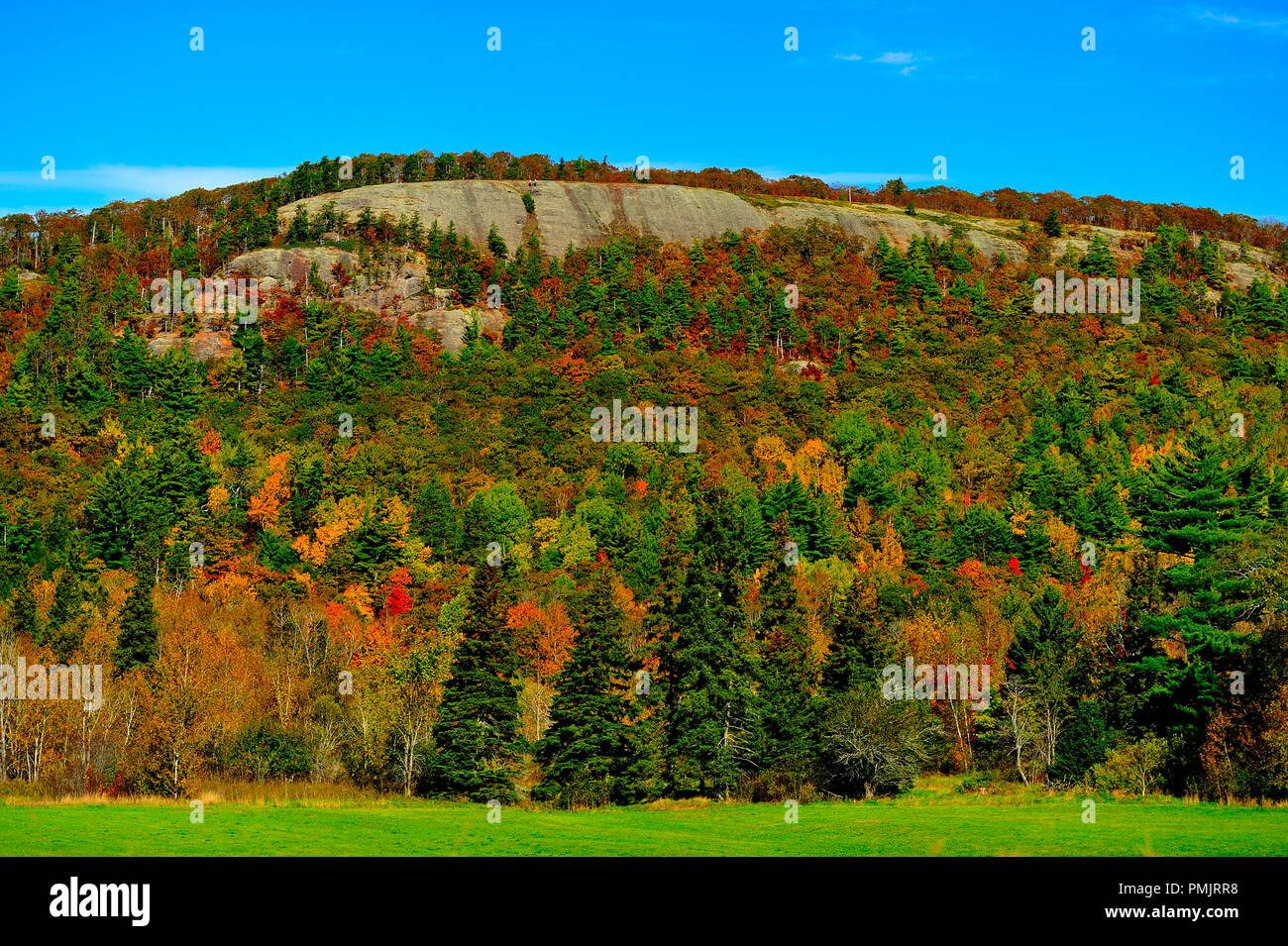 Un paisaje de otoño imagen de una roca de la ladera de la montaña, con sus árboles caducifolios cambiando a los brillantes colores de una caída del Canadá Atlántico cerca de Sussex New Brunswick Foto de stock