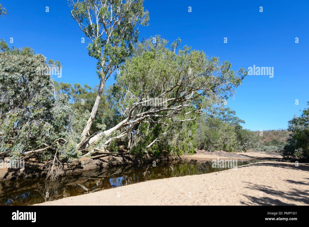 Bajo nivel de agua en la UEM Creek durante la temporada seca, cerca Petford, North Queensland, Queensland, Australia Foto de stock