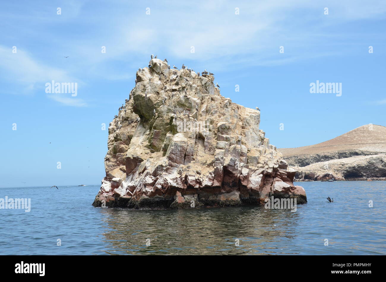 Las aves silvestres en la pequeña isla rocosa que es uno de las Islas Ballestas en el Océano Pacífico, cerca de la ciudad de Paracas en Perú. Foto de stock