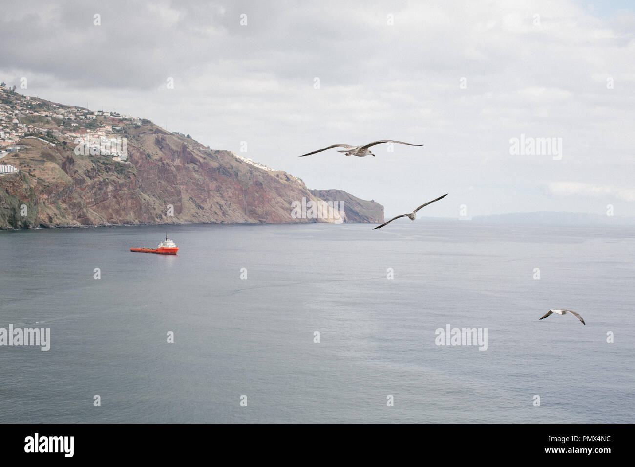 Las aves marinas (gaviotas) volando alto a lo largo de un tranquilo mar azul con un barco por debajo y el litoral en el fondo Foto de stock