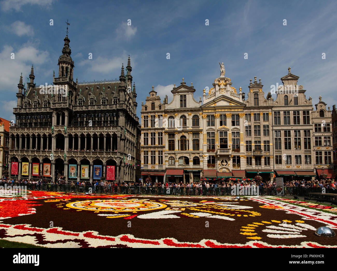 Belgica Bruselas La Grand Place Gran Plaza Con El Ayuntamiento Gotico Hotel De Ville Originalmente 1402 Y Alfombra De Flores Fotografia De Stock Alamy