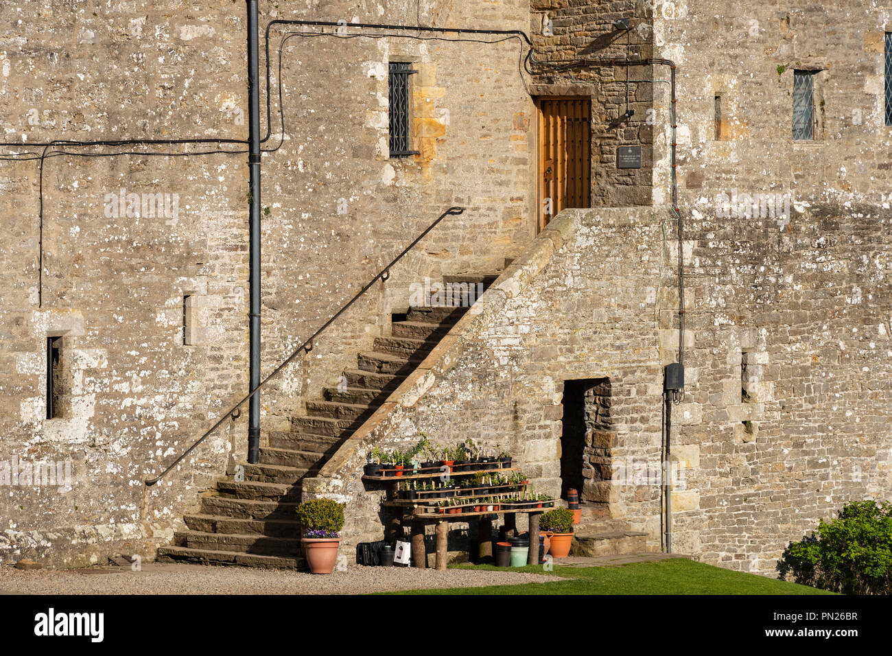 Vuelo de escalones de piedra externos que conducen a la puerta oeste del castillo medieval de rango histórico - Bolton Castle, Wensleydale, North Yorkshire, Inglaterra, Reino Unido. Foto de stock