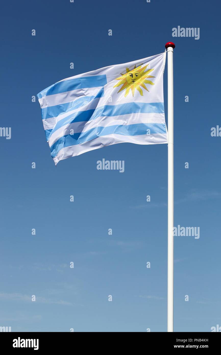 Uruguay bandera emblema ganadores de fútbol con el trofeo, estrellas,  pelota y cinta. 3D Rendering Fotografía de stock - Alamy