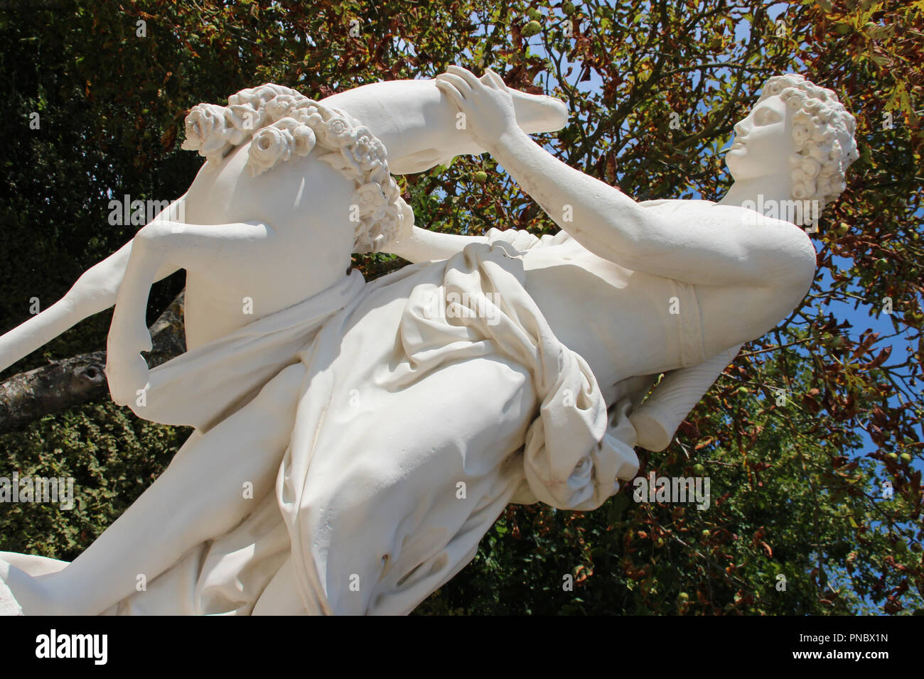 Cyparisse en los jardines del castillo de Versalles (Francia). Foto de stock