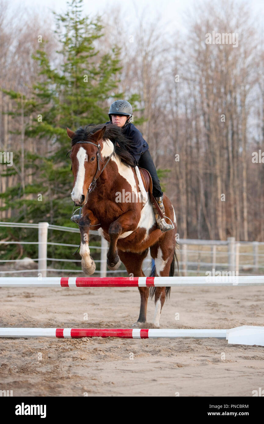 América del Norte, Canadá, Ontario, niña a caballo saltando valla Foto de stock