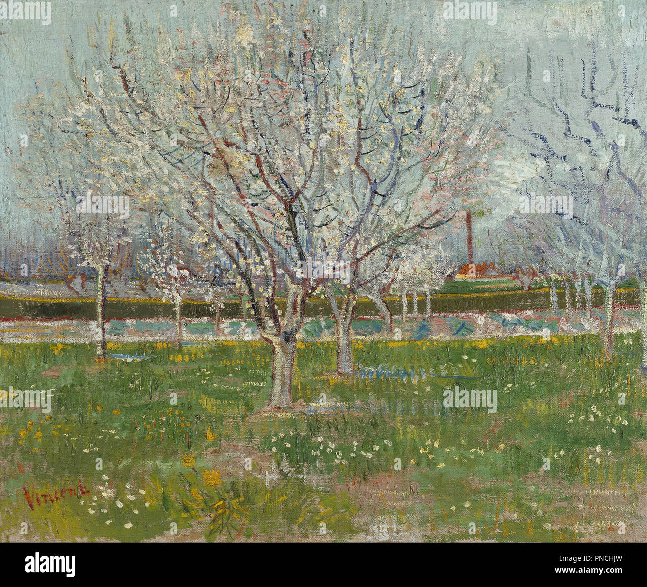 Huerto en flor (Ciruelos). Fecha/período: 1888. La pintura. Óleo sobre lienzo. Altura: 540 mm (21,25); anchura: 652 mm (25,66). Autor: Vincent van Gogh Fotografía de stock - Alamy Huerto en flor (Ciruelos). Fecha/período: 1888. La pintura. Óleo sobre lienzo. Altura: 540 mm (21,25); anchura: 652 mm (25,66). Autor: Vincent van Gogh Fotografía de stock - Alamy