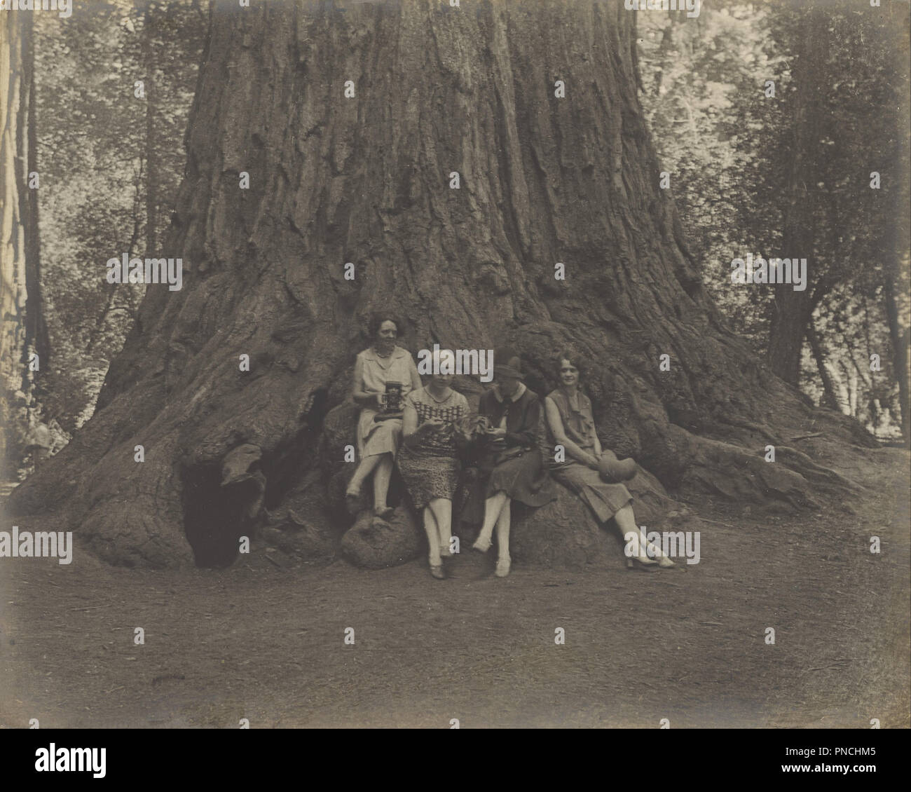 Bromuro de plata fotografías e imágenes de alta resolución Alamy