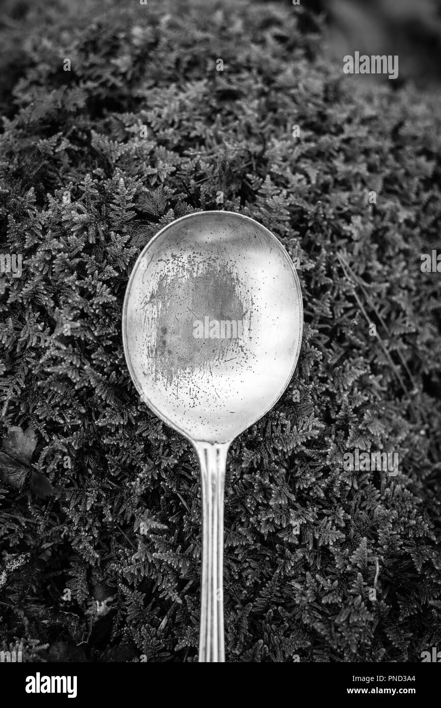 Una vieja cuchara de plata a través de MOSS, en blanco y negro. Foto de stock