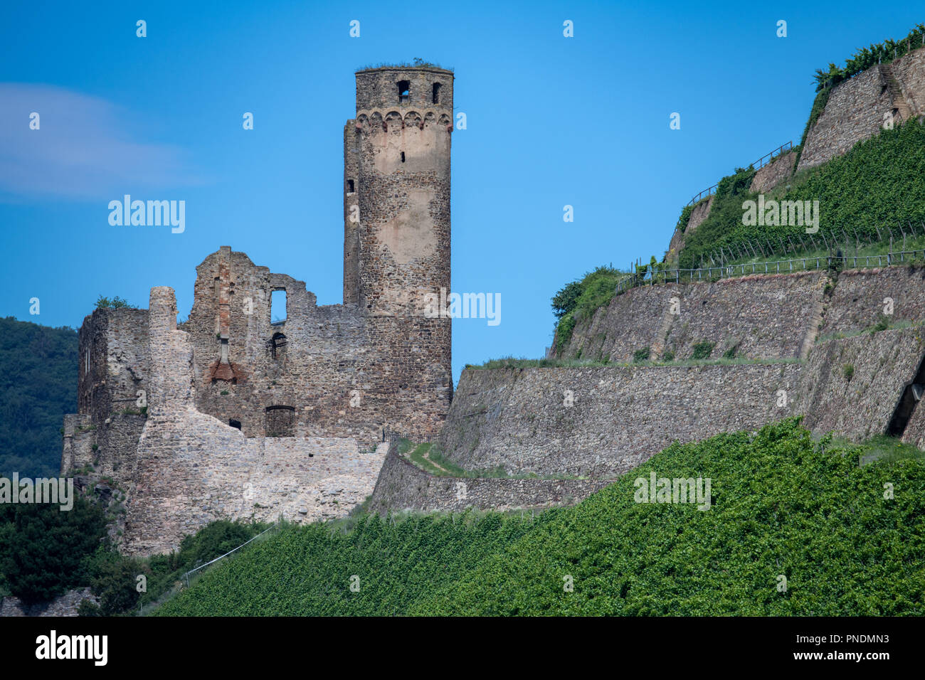 Castillo de Ehrenfels ruina en el valle del Rin Medio, Alemania Foto de stock