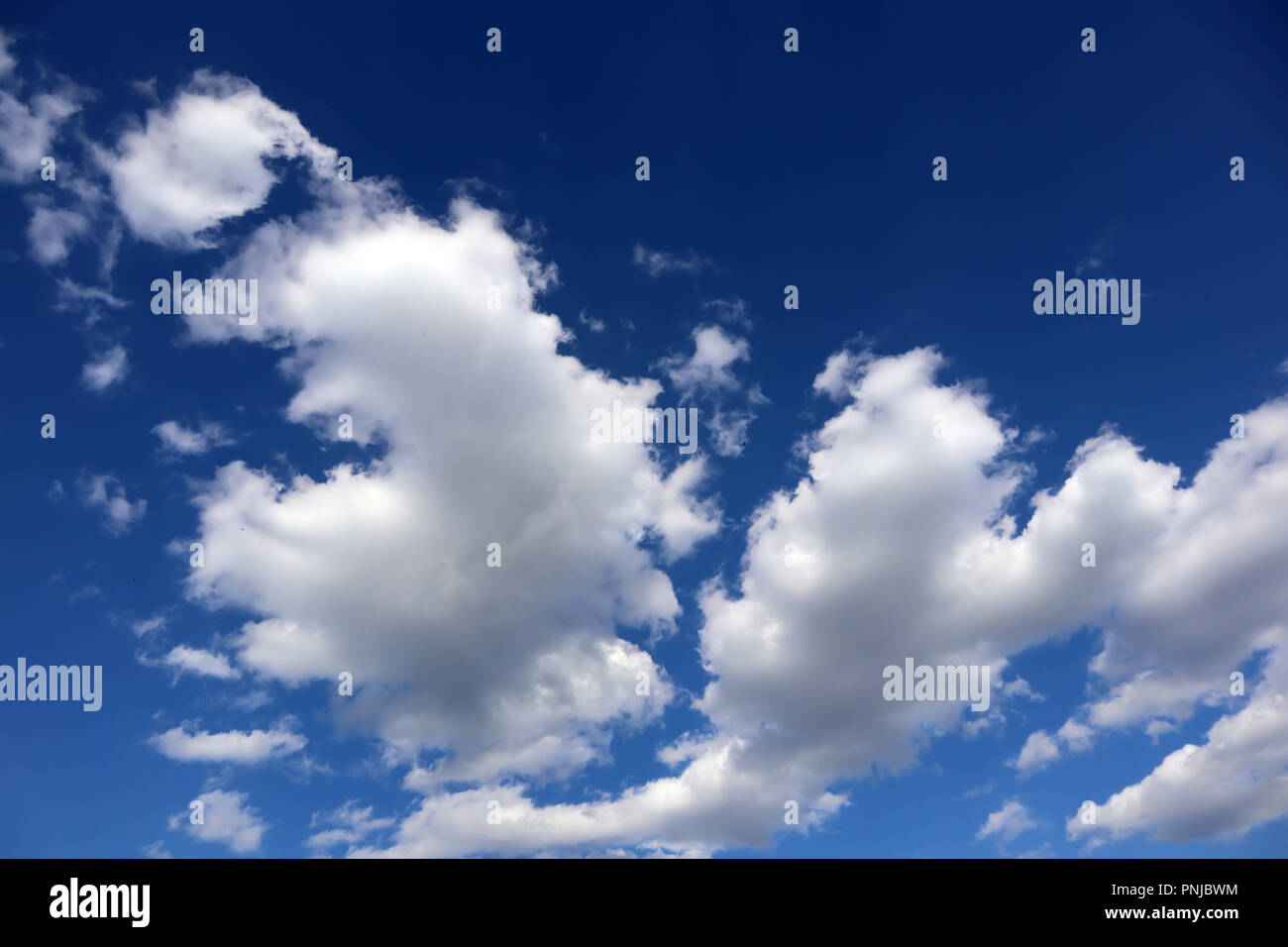 Nubes cumulus contra el cielo azul profundo, brillante, hermoso fondo atmosférica Foto de stock