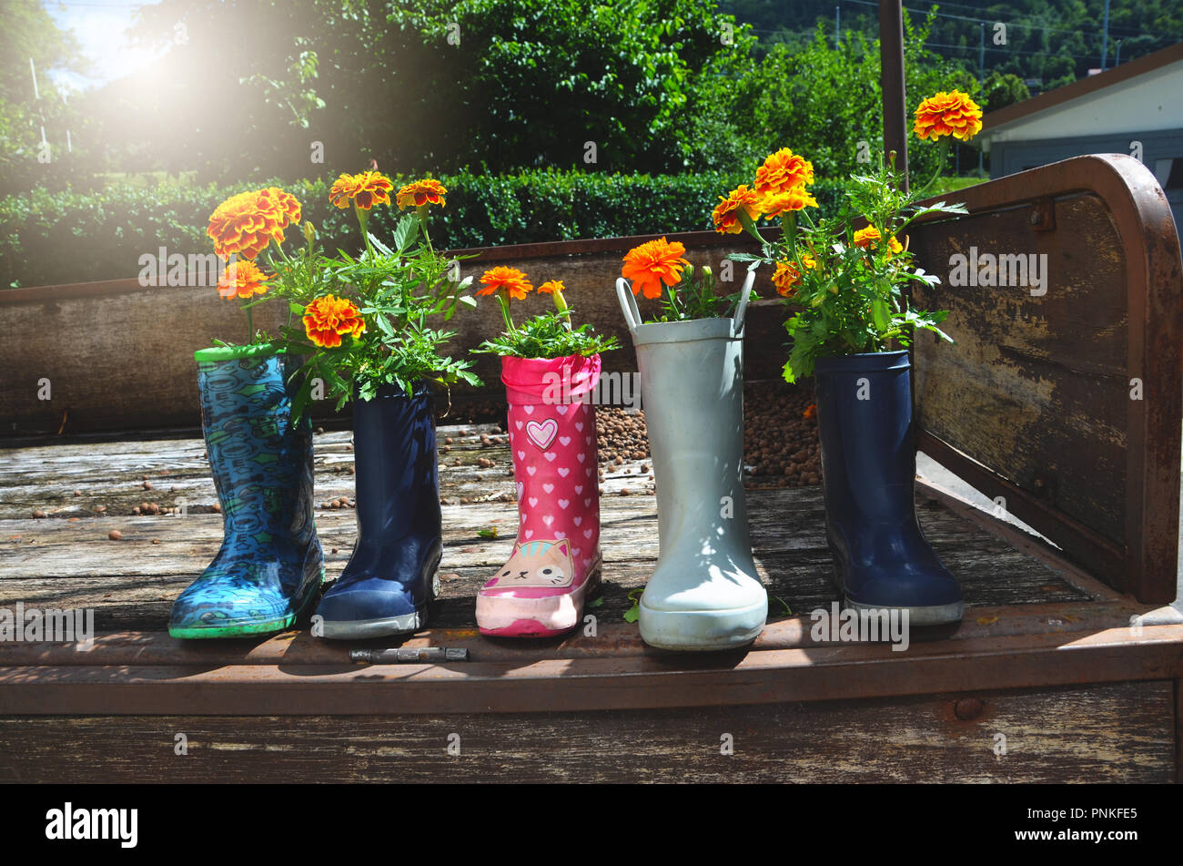 botas de lluvia con flores. Botas de agua, Hunter botas flor, gumboots  arte, Wellington Boots flores, botas de goma de botas de agua, botas de  goma Fotografía de stock - Alamy