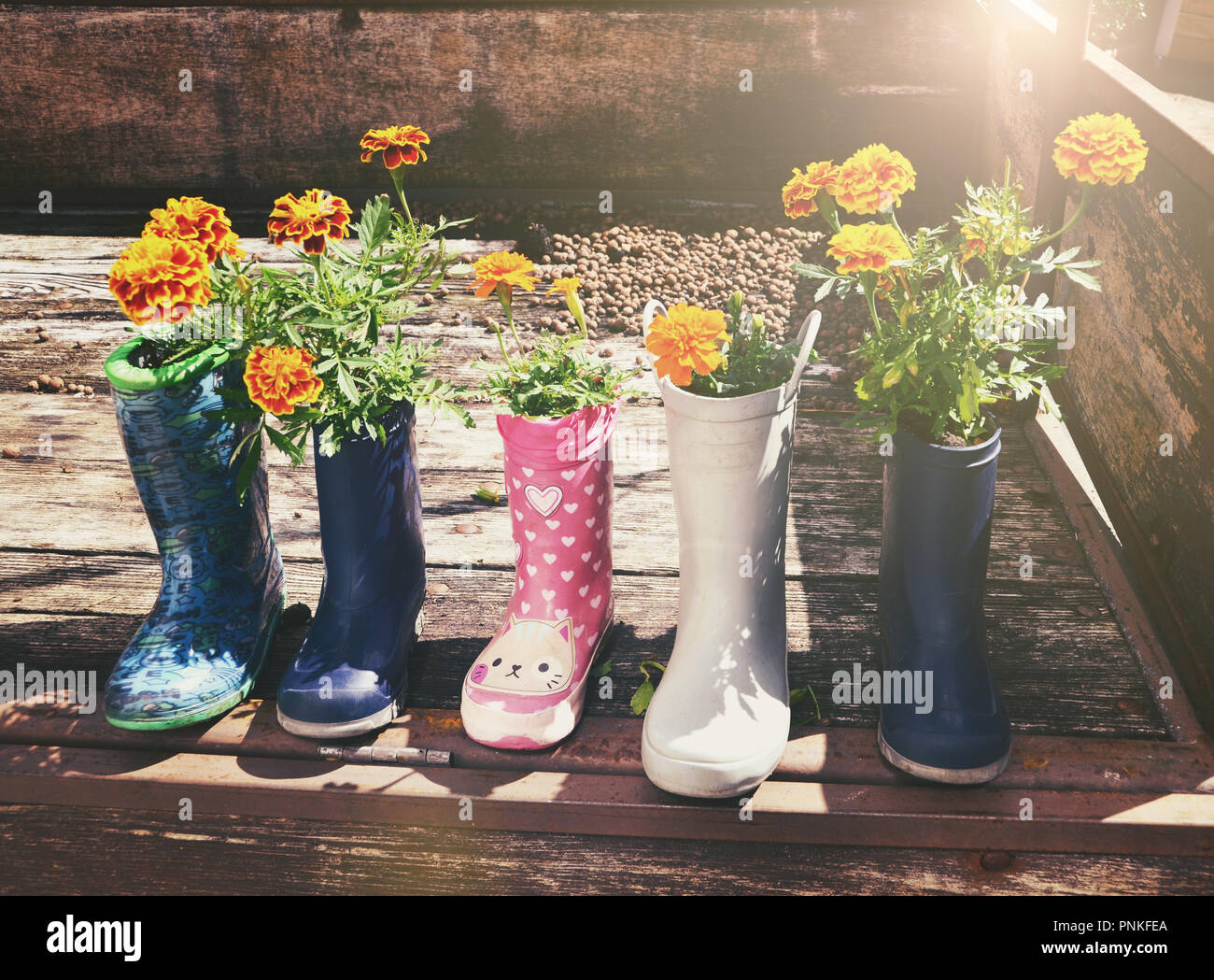 Botas de lluvia con flores fotografías e imágenes de alta resolución - Alamy