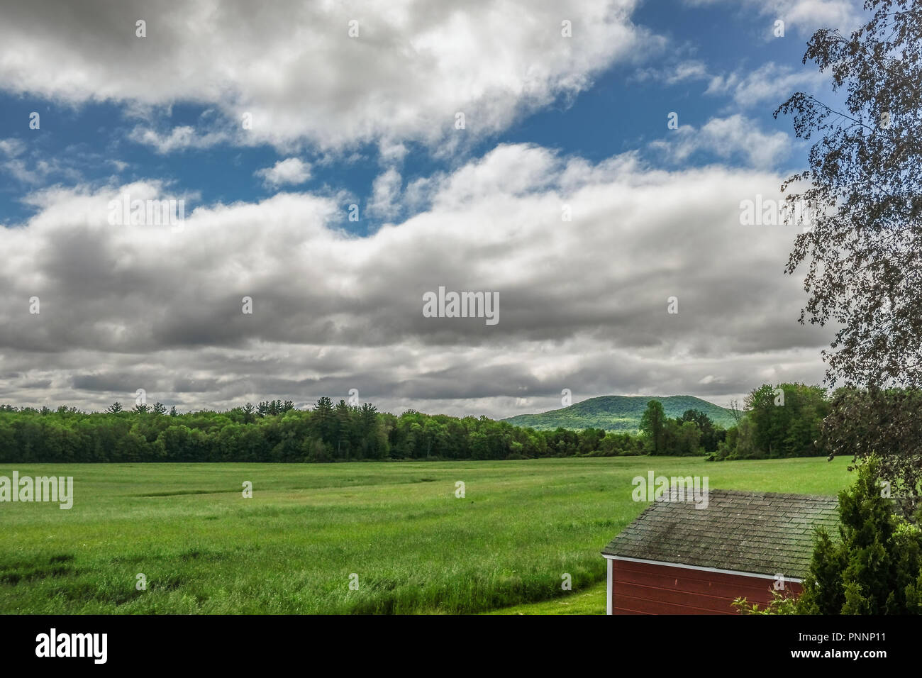 Un campo en una granja en Amherst, MA Foto de stock